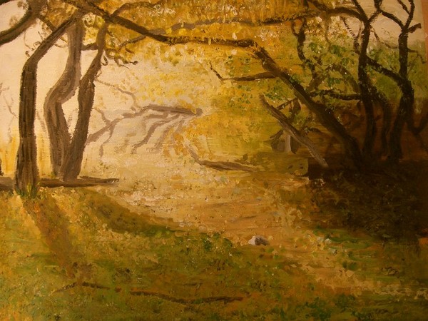 Glade