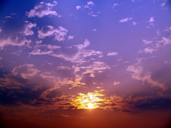 Purple Skys