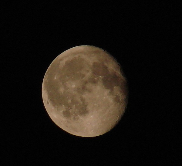 DSC08879
