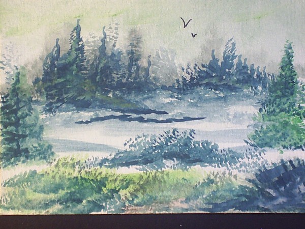 landscape 2