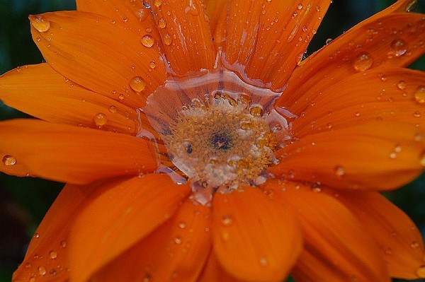 beaded flower