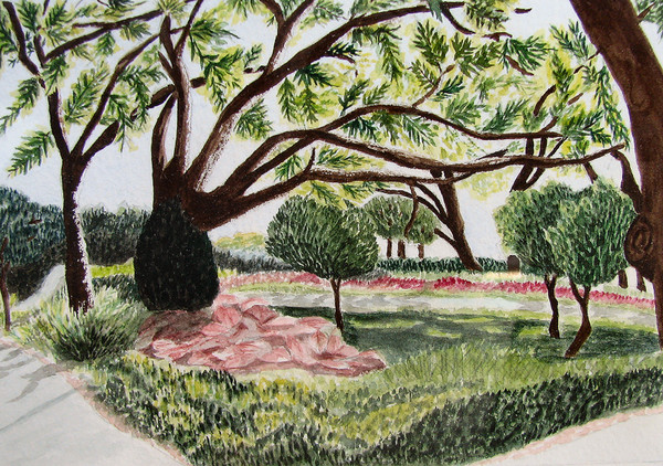 Arboretum - Dallas, Texas Watercolor