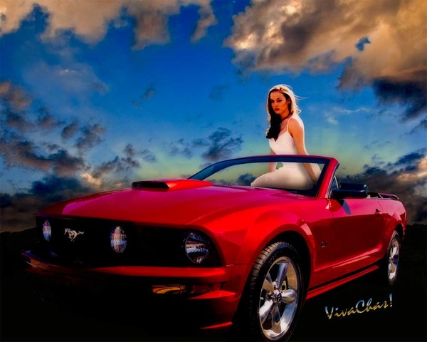 Mustang Rider