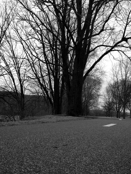Road of Life
