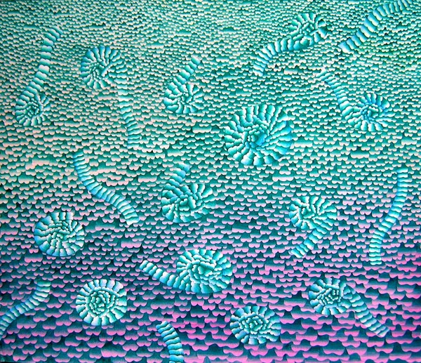 Sound of Fishes