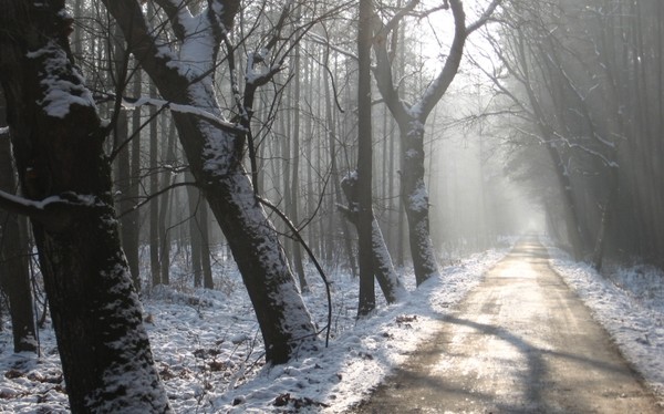 byroad...