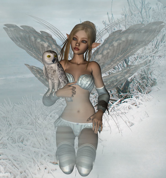 Winter Wonderland