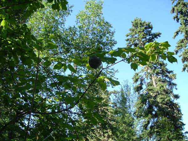 Look up
