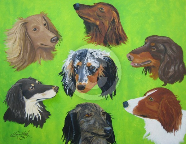 7 Doxies