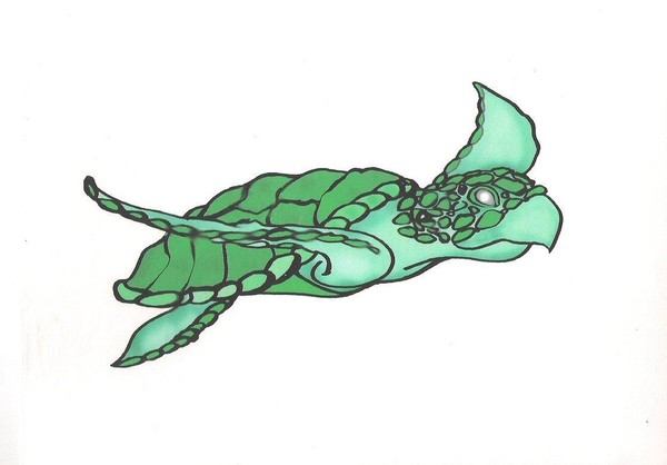 Sea turtle tatoo