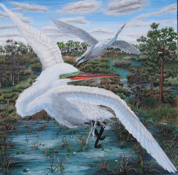 Spring Egrets