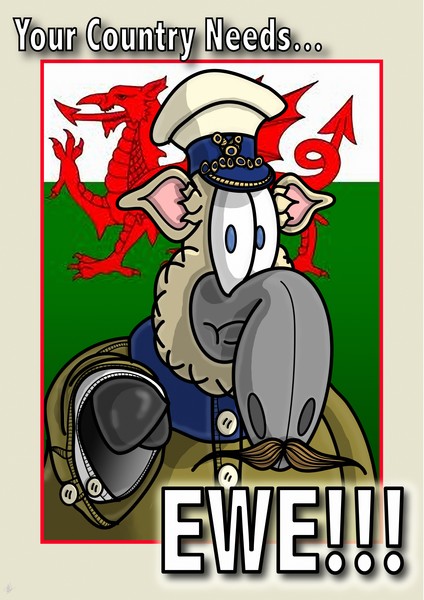 Your Country Needs Ewe! - Welsh
