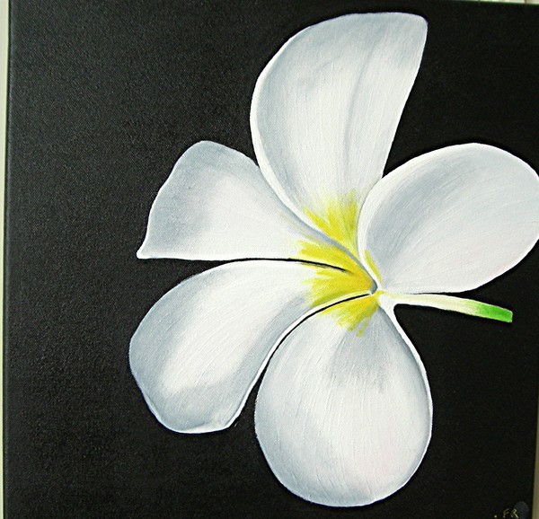 WHITE FLOWER