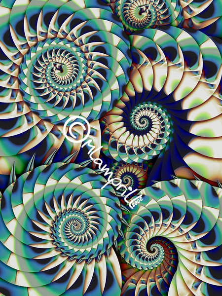 Harmony_still