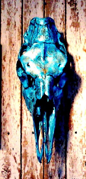Turcoise moose head