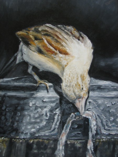 Bird oil painting