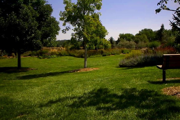 Shady Park