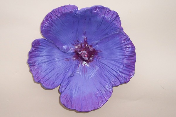 Hibiscus2