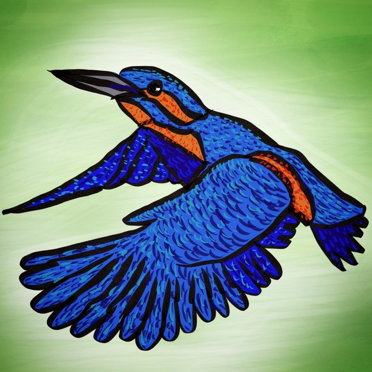 King fisher