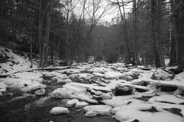 Mountain Stream # 2