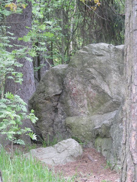 Naturephotos2008-