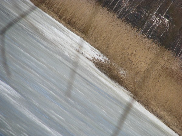 CITY SERIES©2010-STILL IN ICE