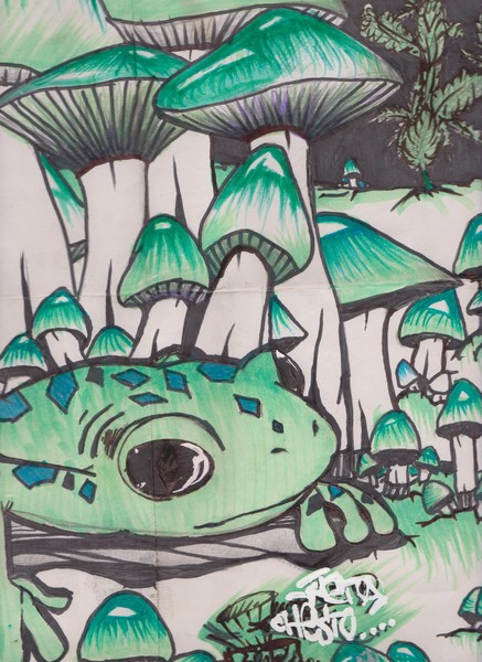frog in the mushrooms