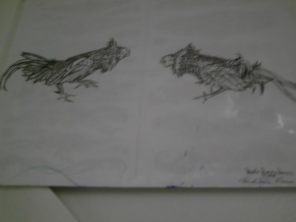 new by danilo  rivera ramos