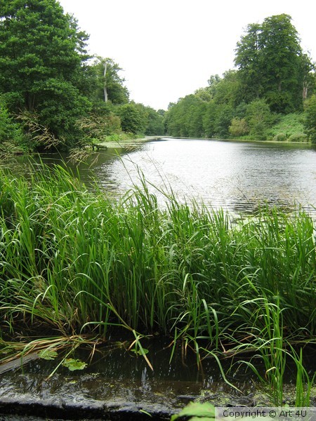 Down.the.Lake