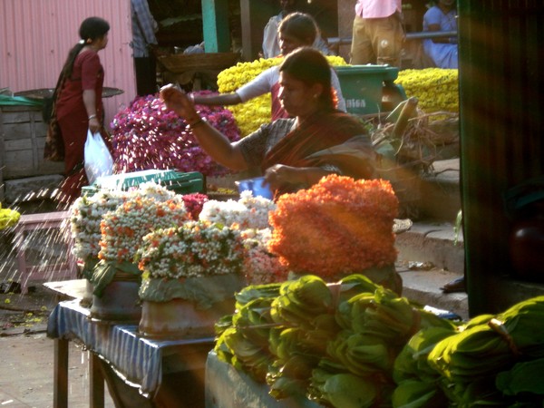 Flowers in the Market