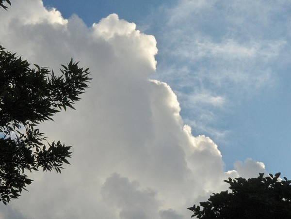 Fall Clouds