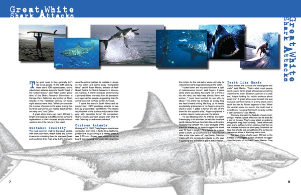 Design/ Layout for article p.7-8