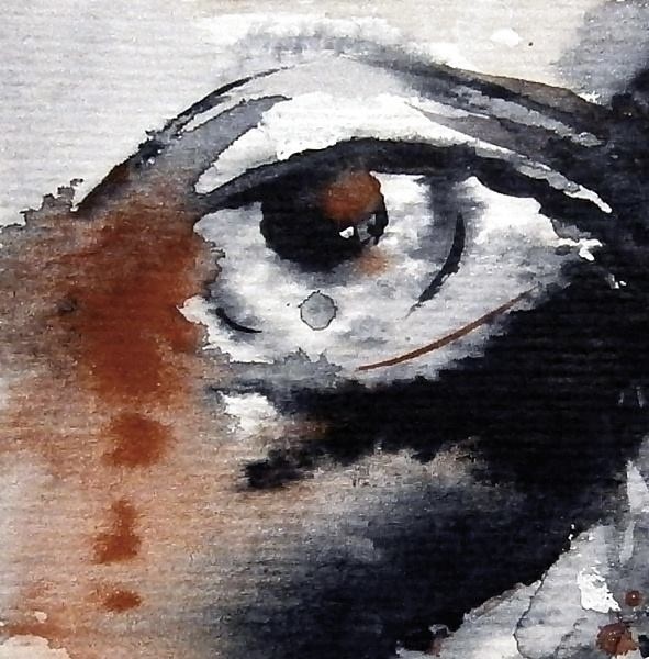 The eye