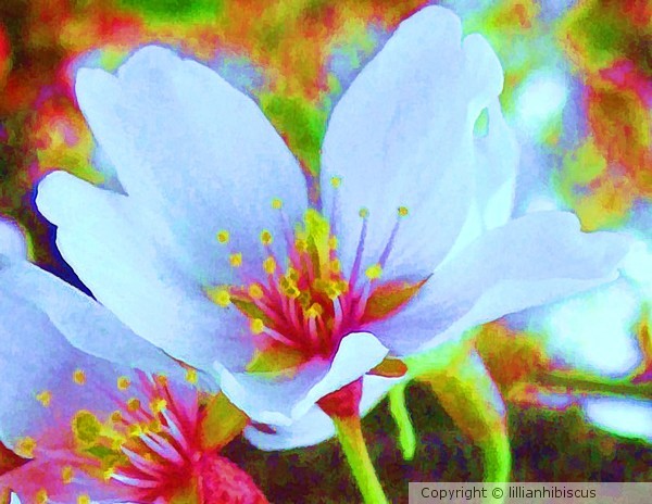 Flower Painting