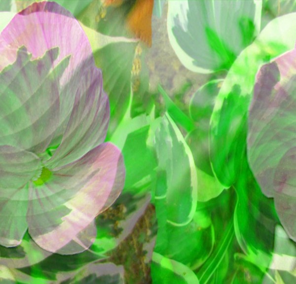 Painted Flowers and Leaves