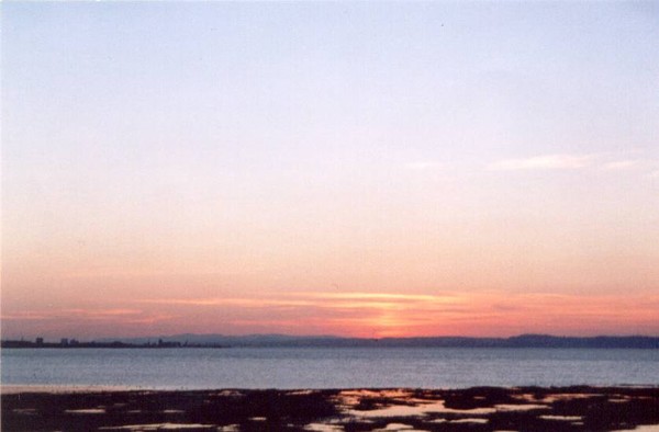 harbour nights