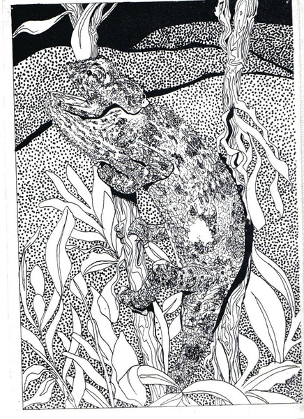Chameleon