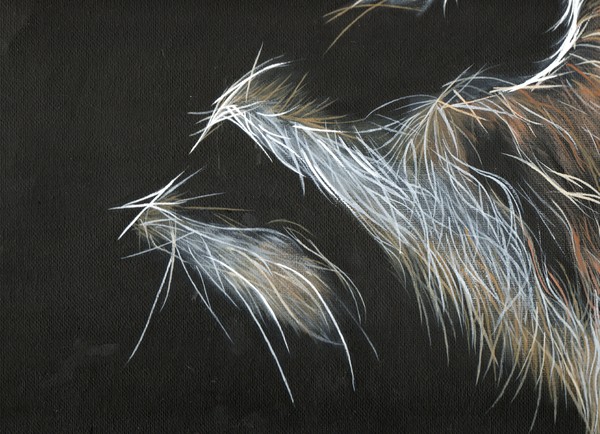 Rascalis Fractalis