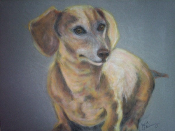 Harvey