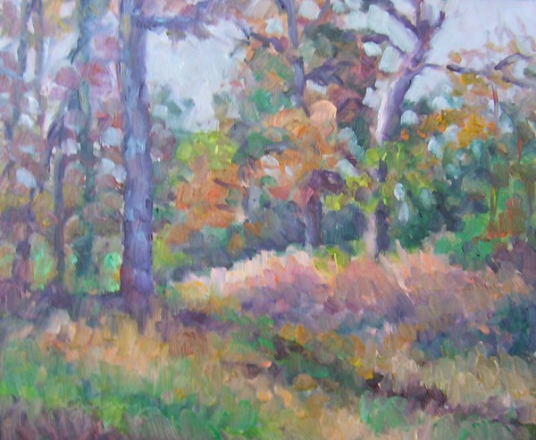 Nature Center in the Fall