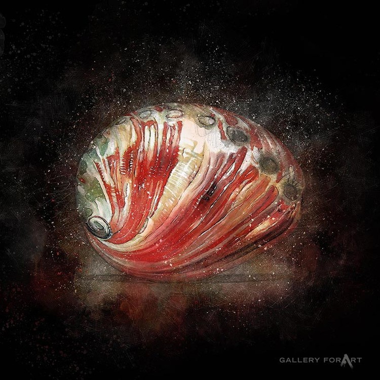 SHELL BLACK ABALONE RED