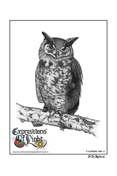 ExpoLight-Graphic-Arts-Owl-1984-0001 (Pen-&-Ink-Mono-SP)