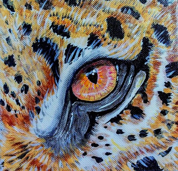 Eye Of The Leopard