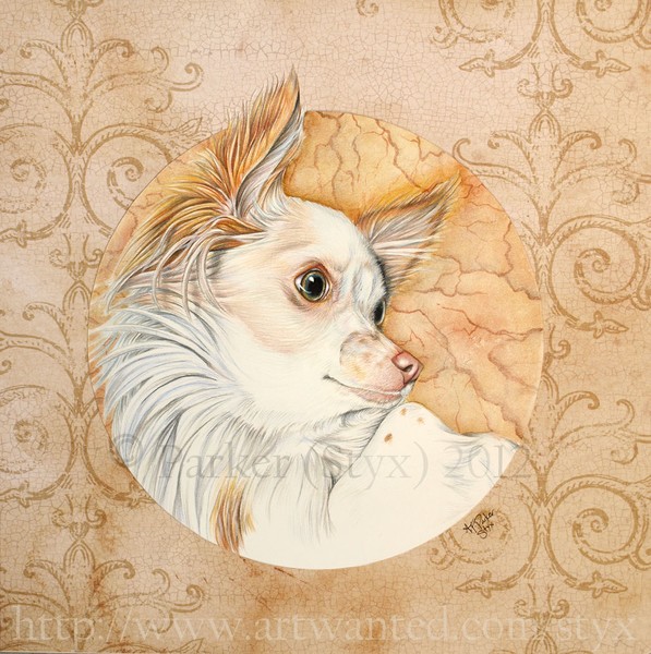 Gypsy Portrait