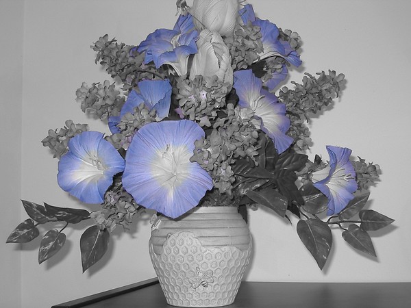 blue flowers