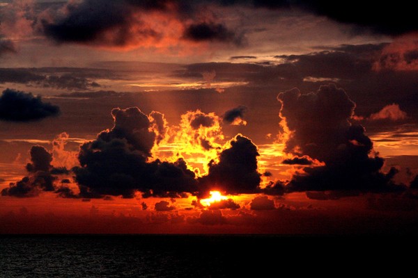 how beautiful Gods creation is...