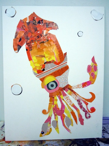magazine squid