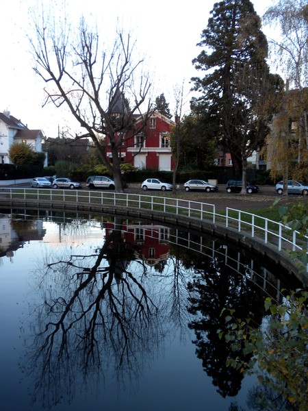 Houses with lake view
