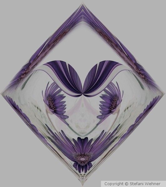 delicate
