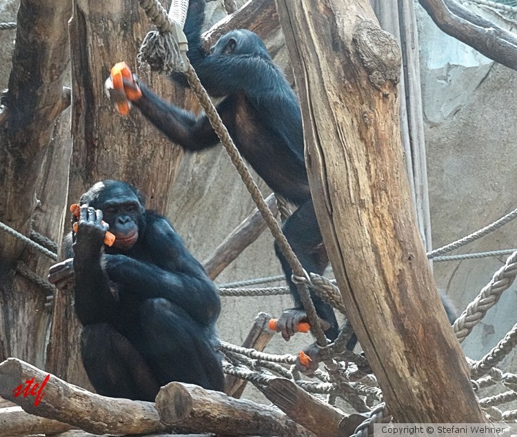 sharing honestly ... not sure
